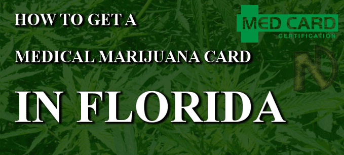 florida marijuana cards