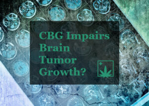 CBG Brain Tumor